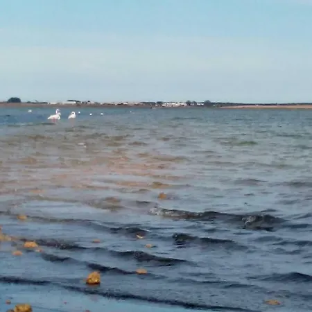 Semesterbostad Casa Macarena 07